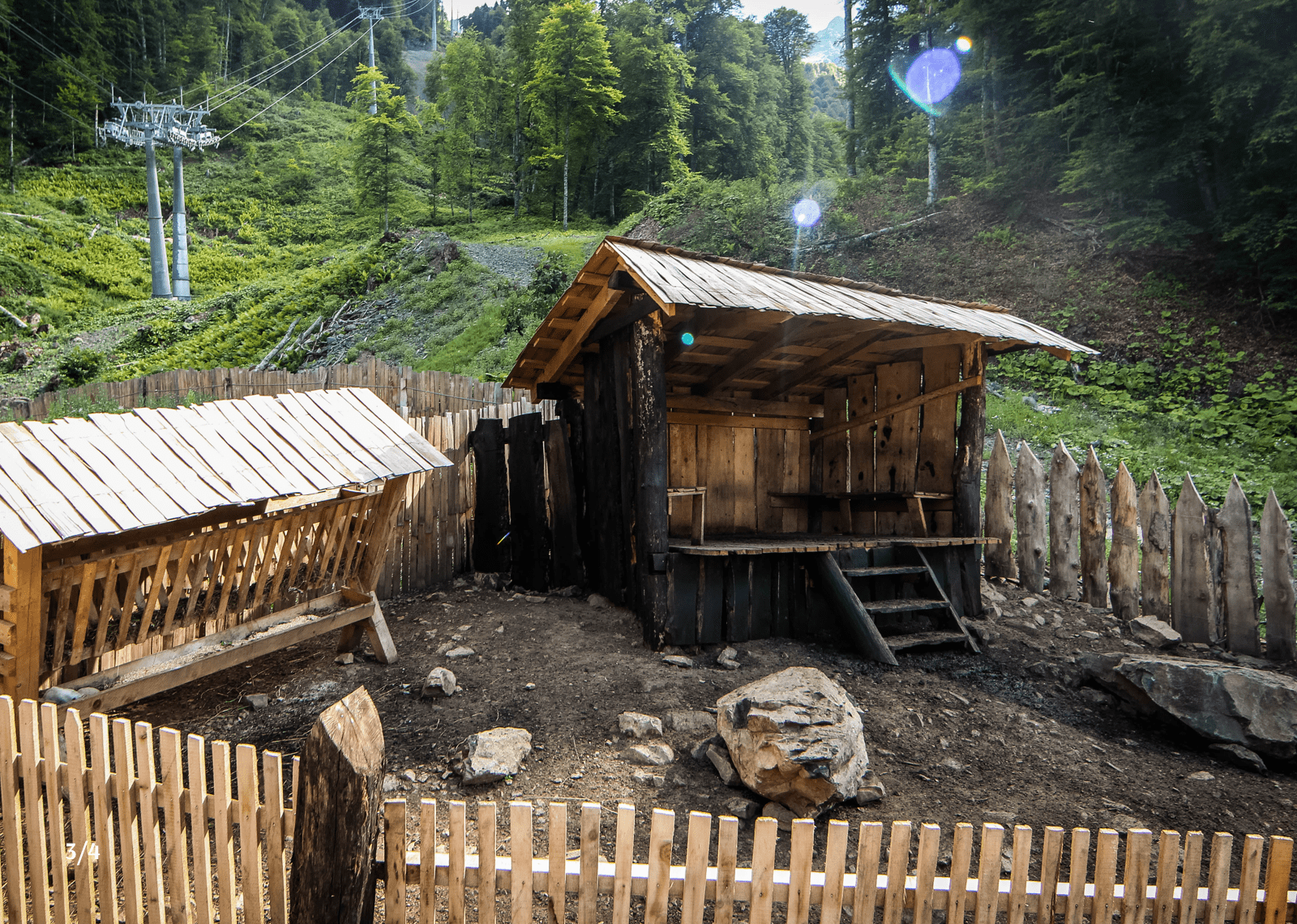 primitive goat shelter