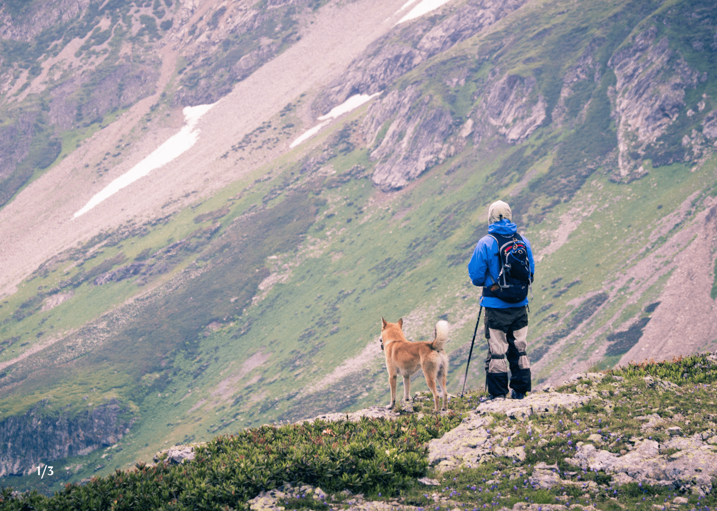 турист с собакой в горах mountain traveller with a dog
