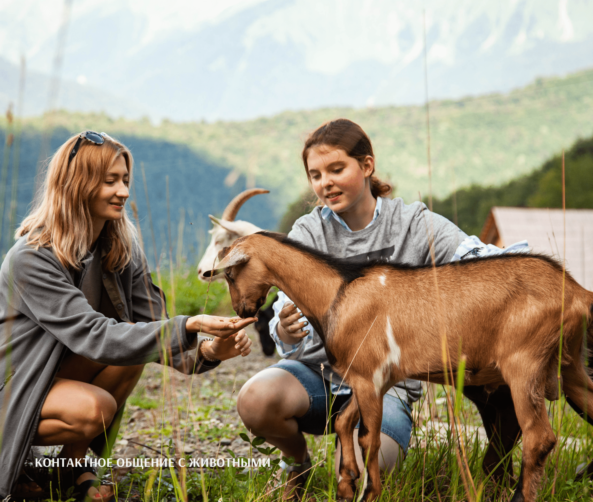 Girls feeding a goat